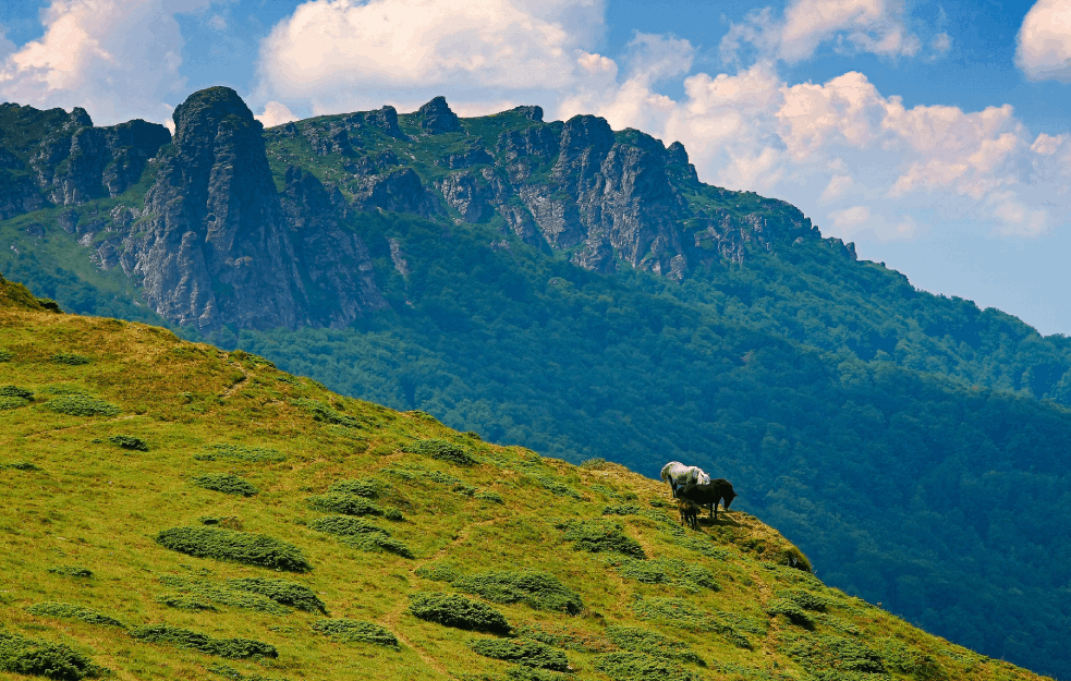 OVO JE 10 NAJLEPŠIH PLANINA SRBIJE: Ove destinacije su turistički biseri naše zemlje (FOTO)